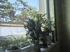 -宾朋海鲜特色美食餐厅·纯手工鲅鱼水饺(兴海路店)