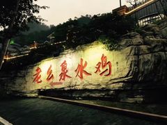-老幺泉水鸡