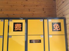 -金塔沙漠胡杨林景区