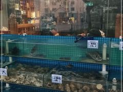 -晓伟海鲜家常菜