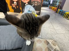-谜盒子奇幻密室(南屏店)