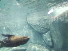 -福州罗源湾海洋世界旅游区