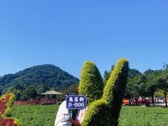 -广州市石门国家森林公园