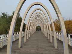 -大兴滨河森林公园