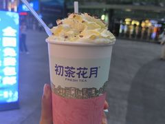 -初茶花月·重庆特产(大融城店)