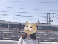 -海堤纪念公园