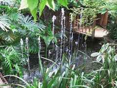 -呀路古热带植物园