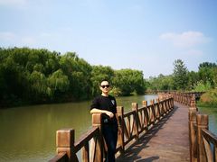 -溱湖国家湿地公园