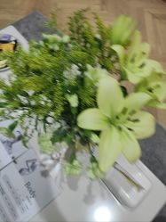 -HEYAN荷妍专业脱毛连锁机构