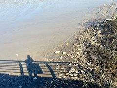 -上海吴淞炮台湾国家湿地公园
