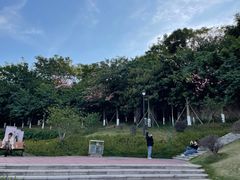 -佛山华盖山公园