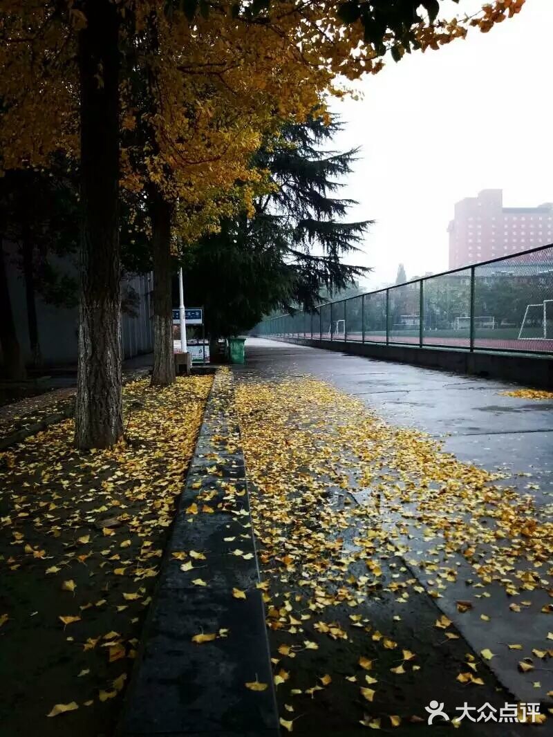 致敬我的大学校园