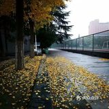 致敬我的大学校园