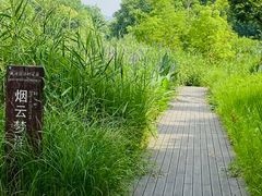 -长田漾湿地公园