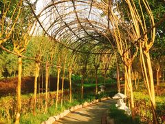 -雅安楠水阁温泉酒店