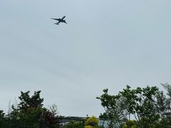 -龙大花卉苗木市场