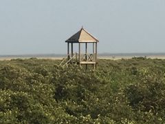 -北海金海湾红树林生态旅游区