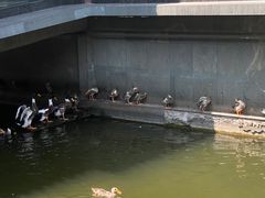 -浙江省博物馆(孤山馆区)