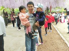 -嘉定紫藤园
