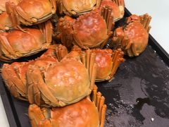 -九重天大饭店(北大街店)