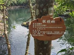-海口火山口国家地质公园
