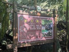 -石台牯牛降景区