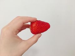 -果多美(纪家庙店)