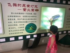 -上海昆虫博物馆