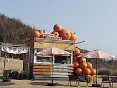 -南北湖风景区