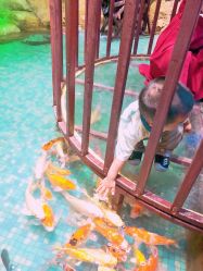 -酷嗒动物文化乐园(cutezoo西溪乐天城店)