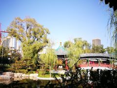 -迎泽公园