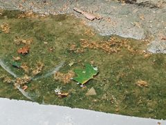 -嵩祝寺及智珠寺