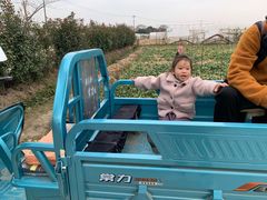 -小鱼草莓采摘园农家乐·小鱼餐厅
