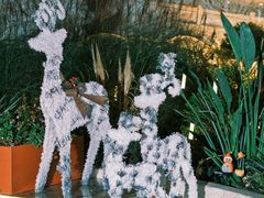 -紫荆广场·花漫里