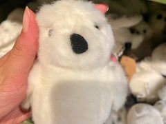 -九又四分之三站台哈利波特商店
