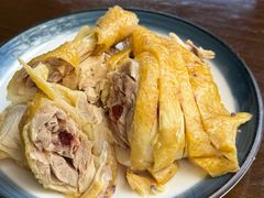 -大树下饭店(春晓镇慈岙社区卫生服务站南)