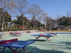 -葛仙湖公园