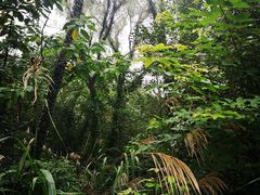 -西湖风景区-江洋畈生态公园