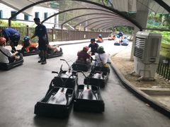 -圣淘沙天际线斜坡滑车