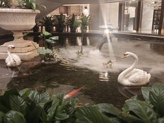 -白天鹅宾馆·流浮阁咖啡厅