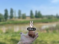 -姚家猪蹄坊(蓝田县店)