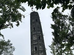 -上海佘山国家森林公园天马山园