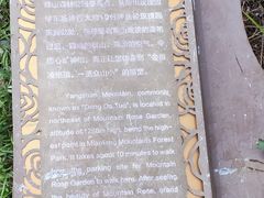 -阳台山自然风景区