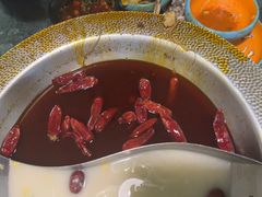 -麻田会 ·鲜活现烹·牛蛙火锅(珠江新城维家思广场店)