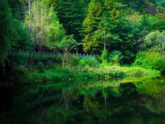 -洛阳白云山景区