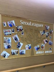 -上海首尔丽格医疗美容医院