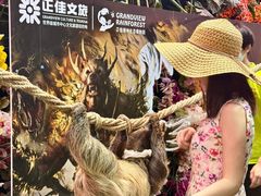 -正佳雨林生态植物园