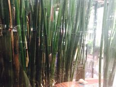 竹里馆-新竹里馆·花园餐厅(兴苑路店)