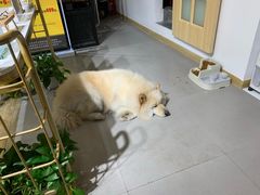 -肆兮眼镜·蔡司·徕卡战略合作店(大坪店)