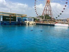 -三亚海昌梦幻海洋不夜城